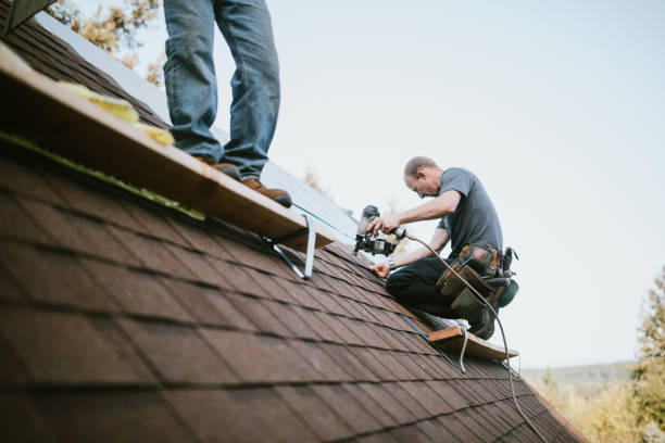 Best Local Roofing Companies  in Burkburnett, TX